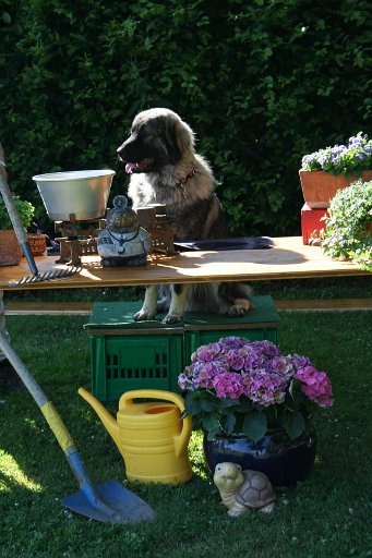 Abendplausch Skupi06 052